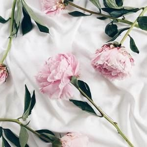 Meet your Posher, Alanna